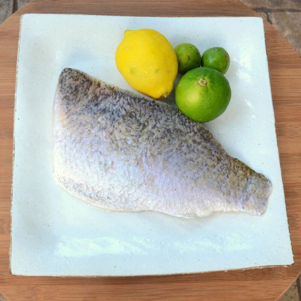 Barramundi Fish Fillet