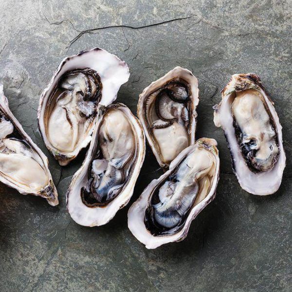 Kudacart Irish Live Oysters
